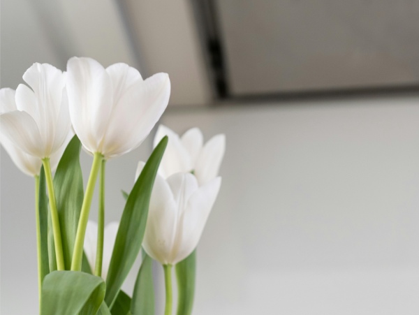 MySpeakers Nyhetsbrev – Mars 2026